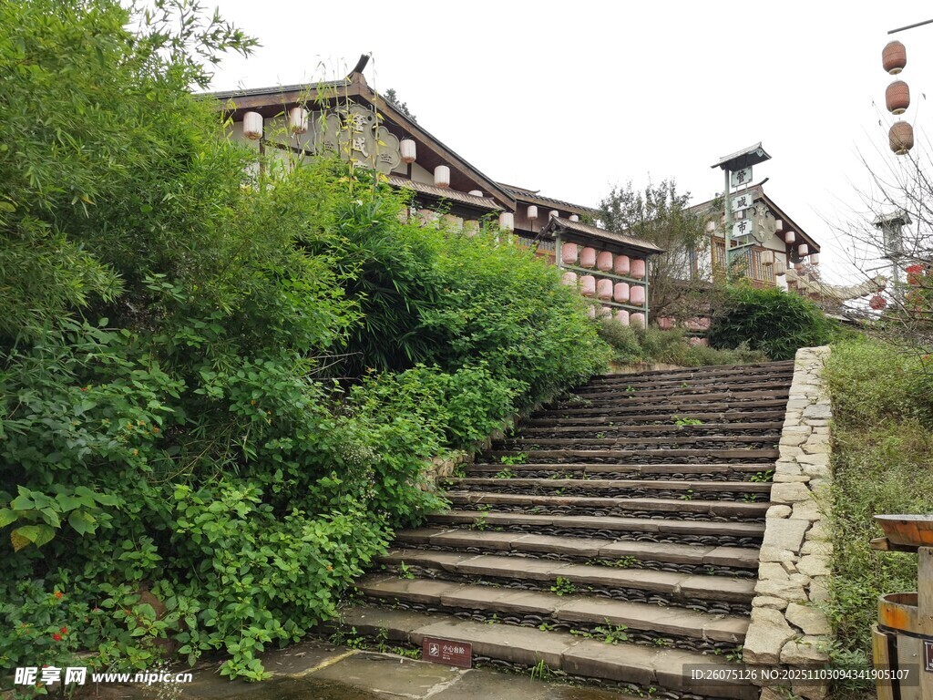 古建旁的石阶与葱郁绿植