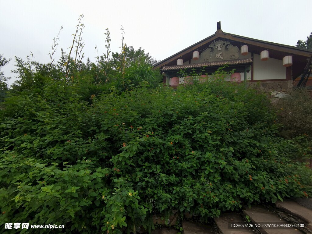 乡村绿植环绕的房屋