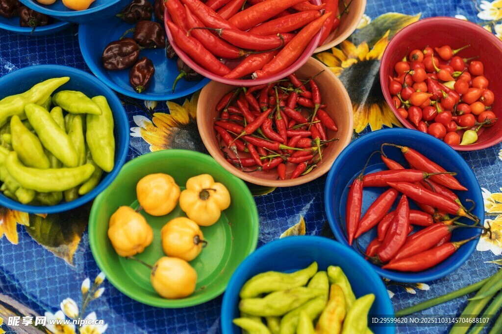 多彩新鲜蔬菜大集合