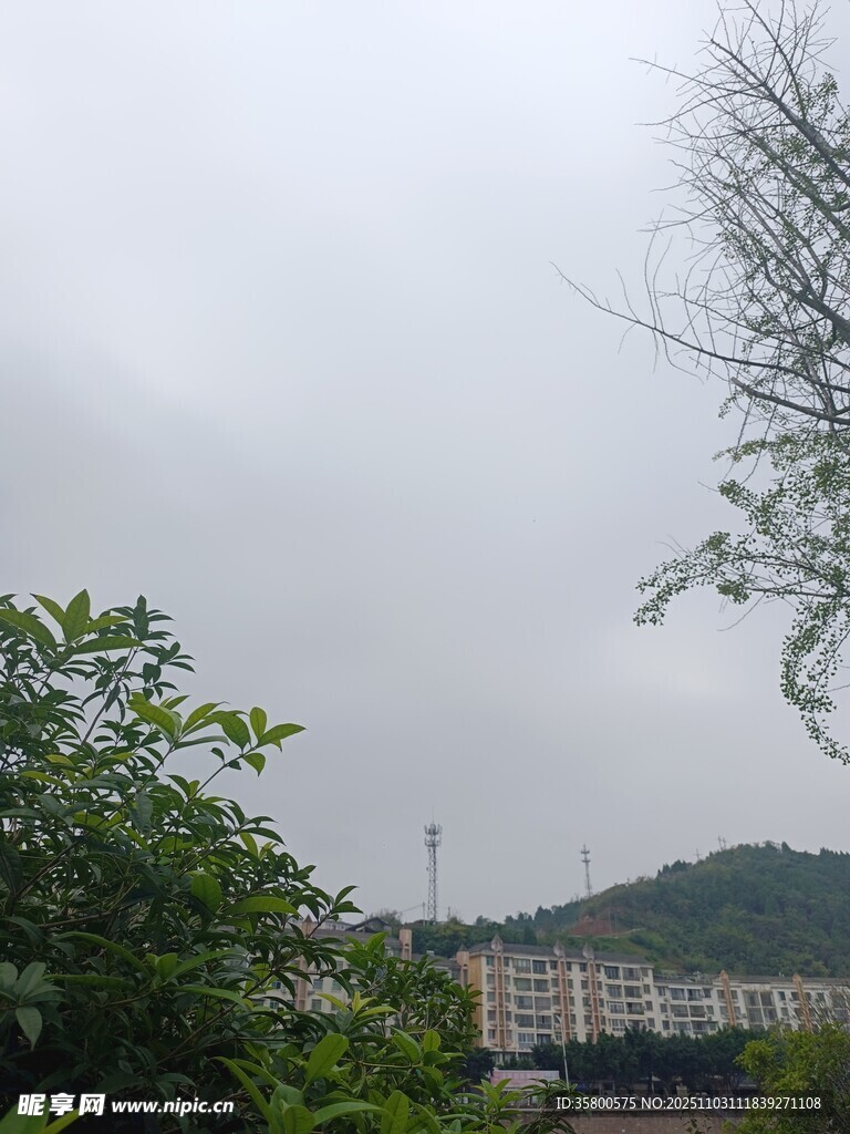 山林间远眺城市建筑景观