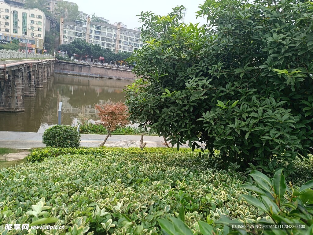 城市河畔绿植景观