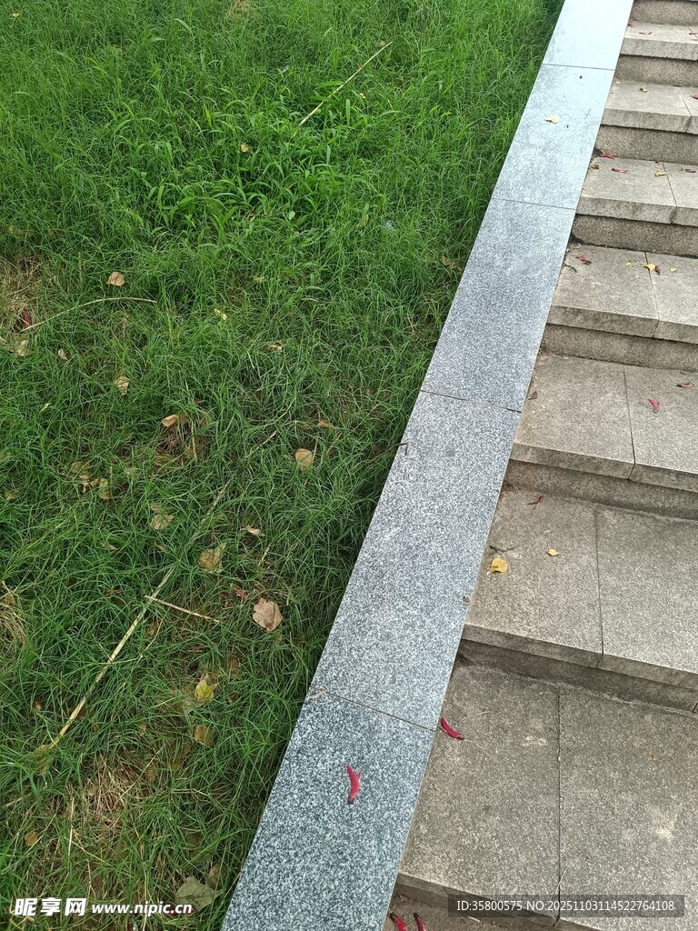 石板小径旁的嫩绿草坪