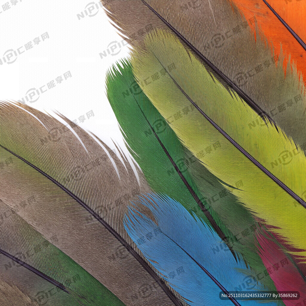 羽毛纹很多满满颜色