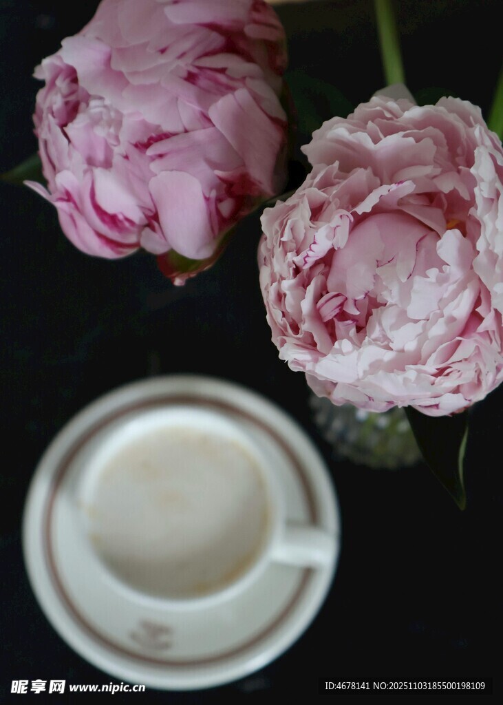 芍药与杯中的静谧时光