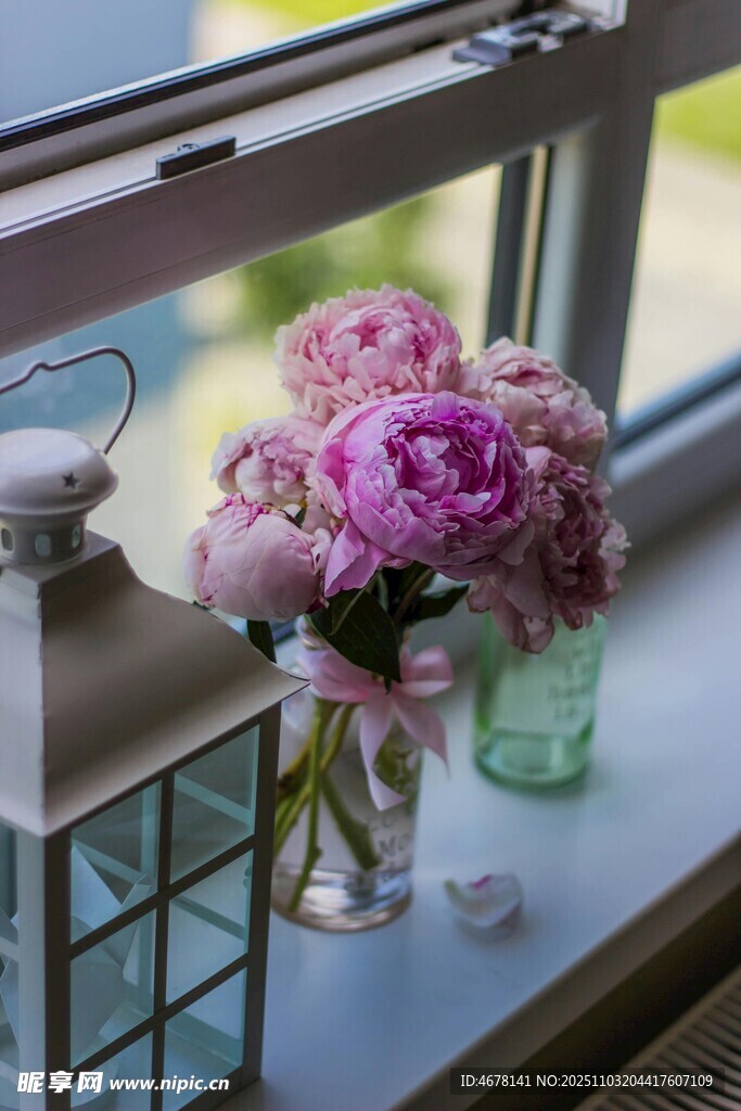 窗边花瓶中的娇艳紫牡丹