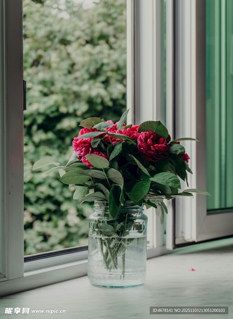 窗边花瓶中的娇艳红玫瑰