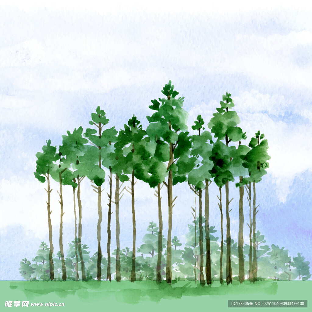 翠绿挺拔的树林景观