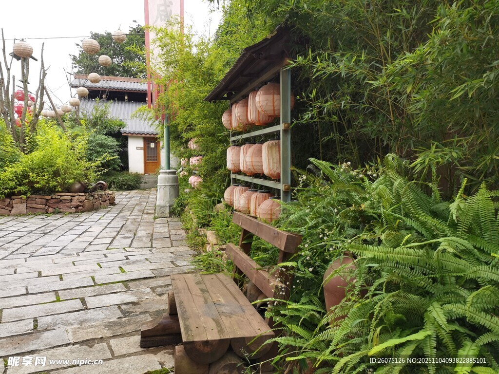 庭院小径旁的绿植与木凳