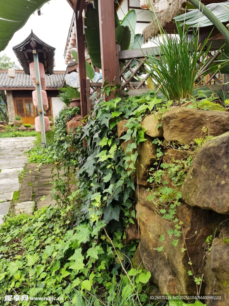 石墙藤蔓环绕的静谧庭院