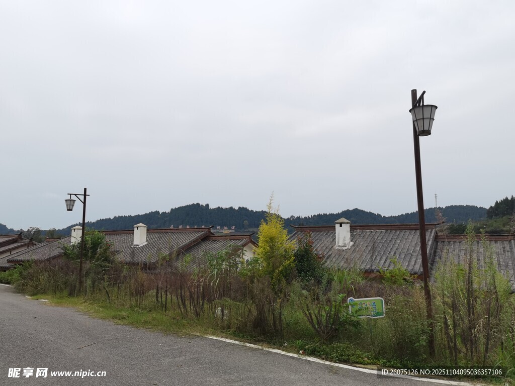 乡村公路旁的宁静景致