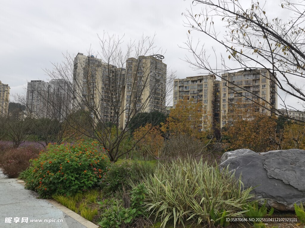 城市住宅区旁的自然景观