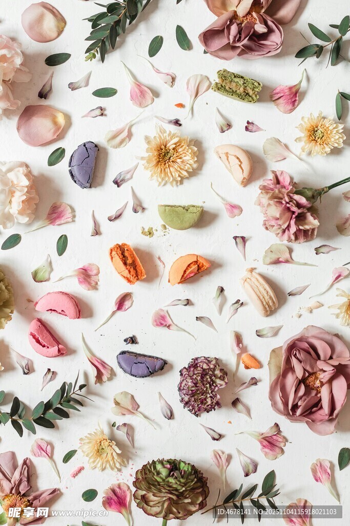 多彩花卉与多肉的精美组合