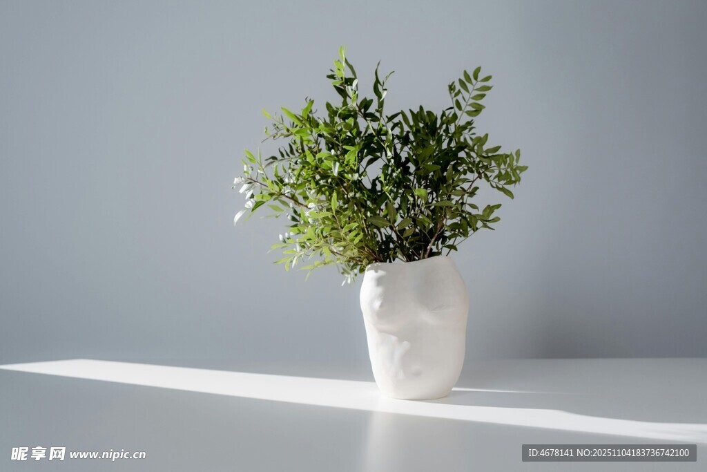 白色花瓶中的清新绿植
