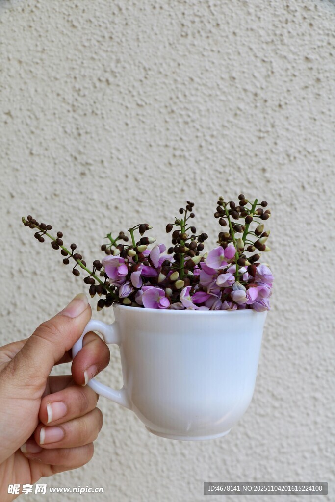 手捧杯装紫色小花