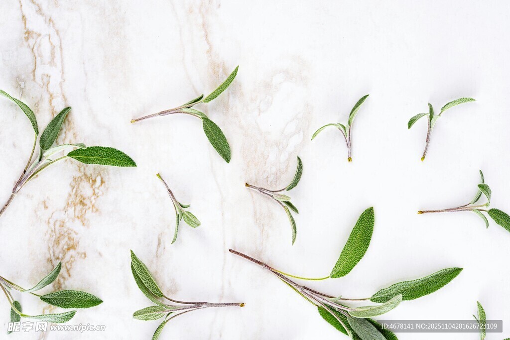 散落的嫩绿枝叶