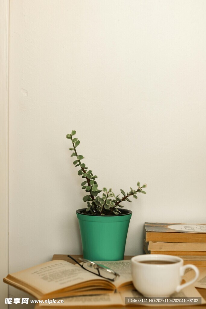 绿植书香静谧生活一角