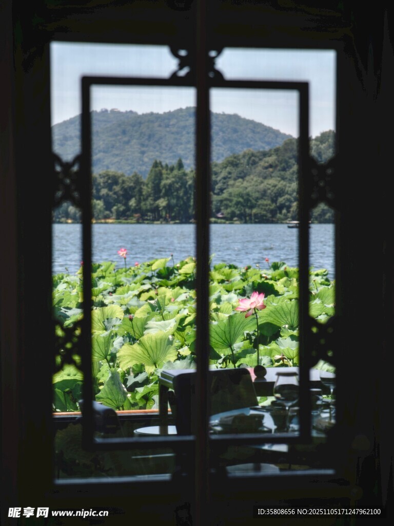 窗景中的荷塘