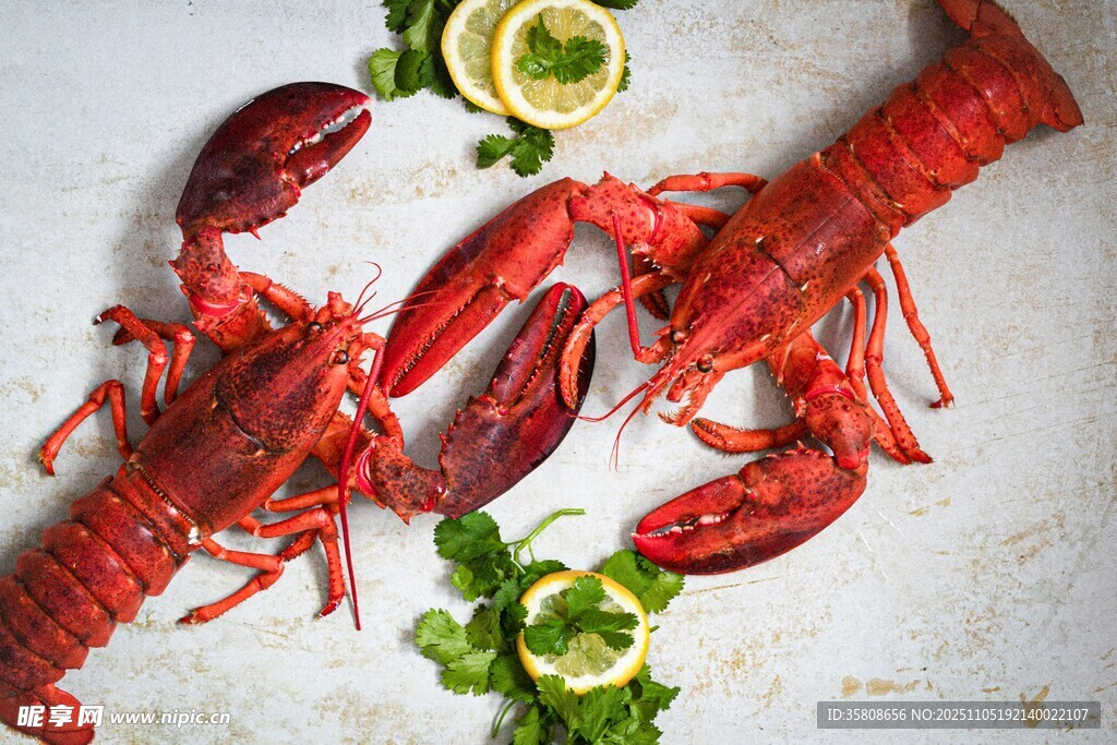 新鲜龙虾配青柠与香草