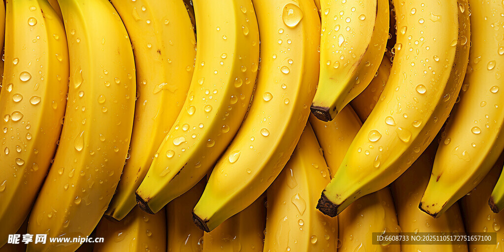 整齐排列的新鲜黄香蕉