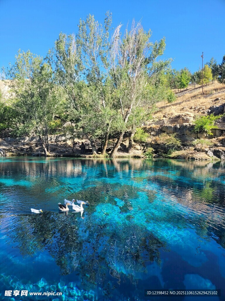 清澈蓝湖与岸边葱郁树木