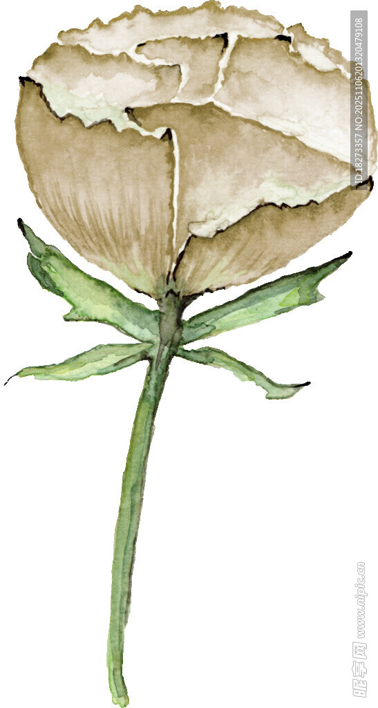 手绘单枝浅色花朵