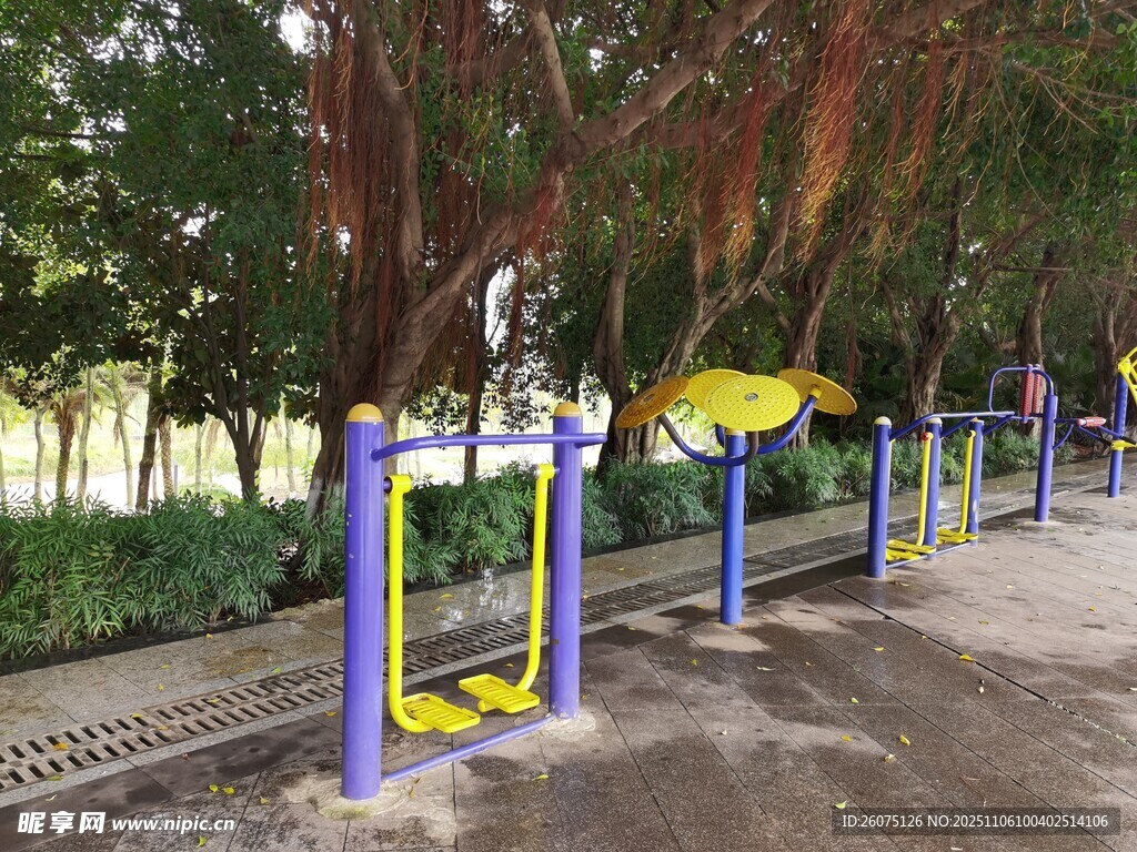 公园中的户外健身器材区