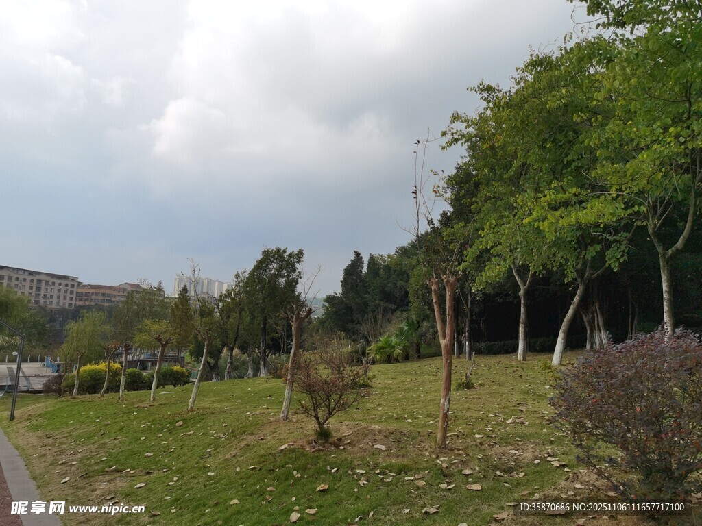 郊外绿意盎然的自然景致