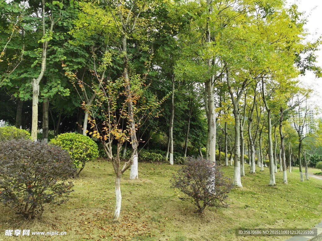 城市中的静谧绿化景观