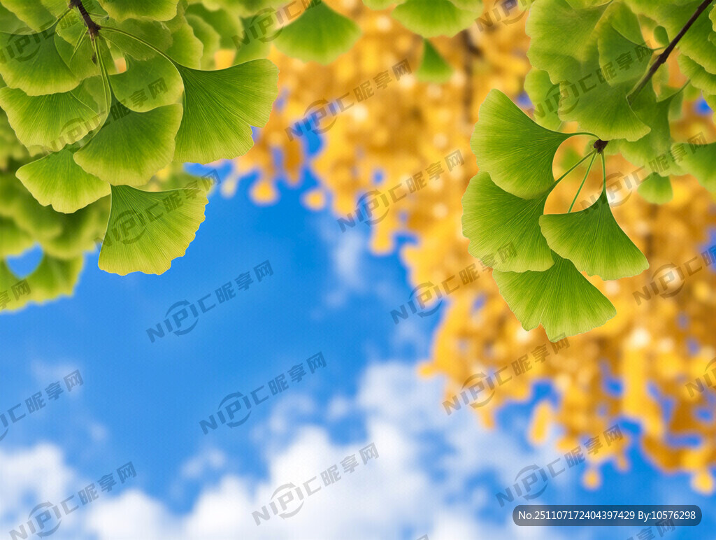 银杏树叶渐变黄色背景