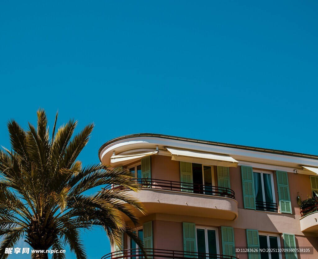 粉色建筑旁的棕榈树与蓝天