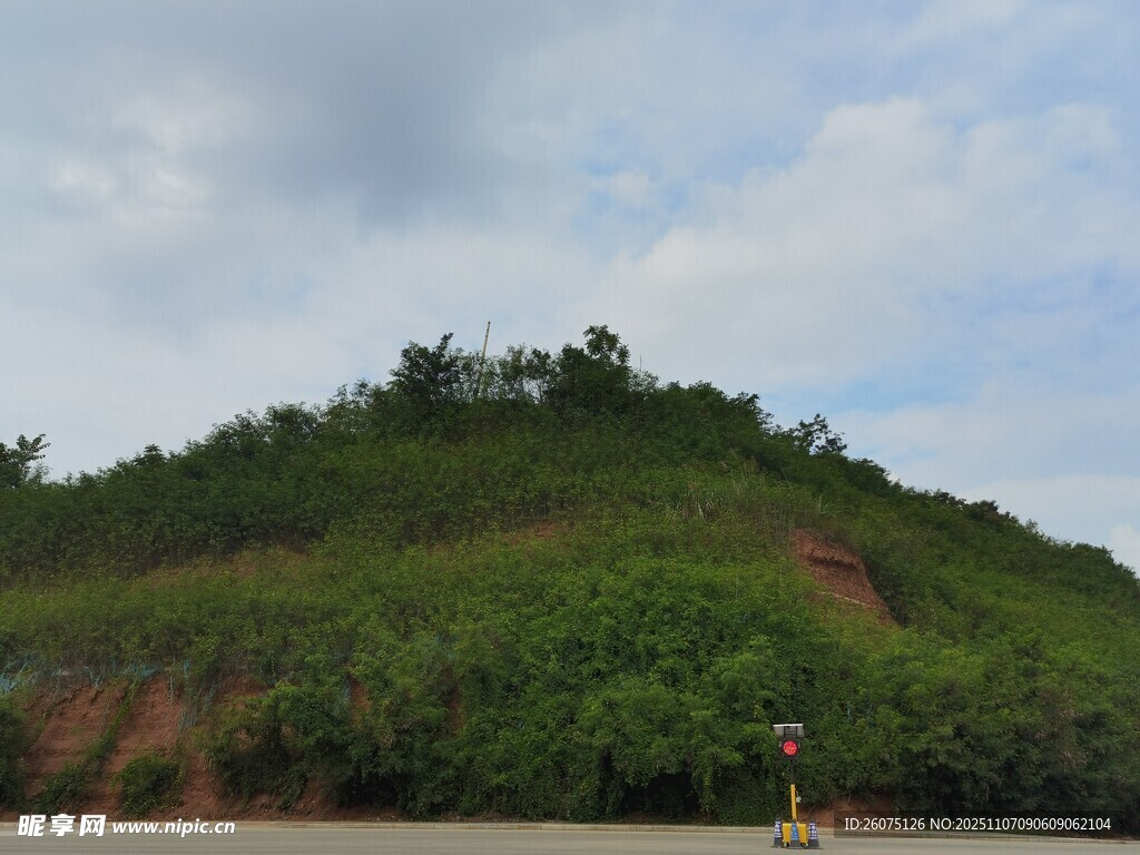 绿意盎然的山坡景色