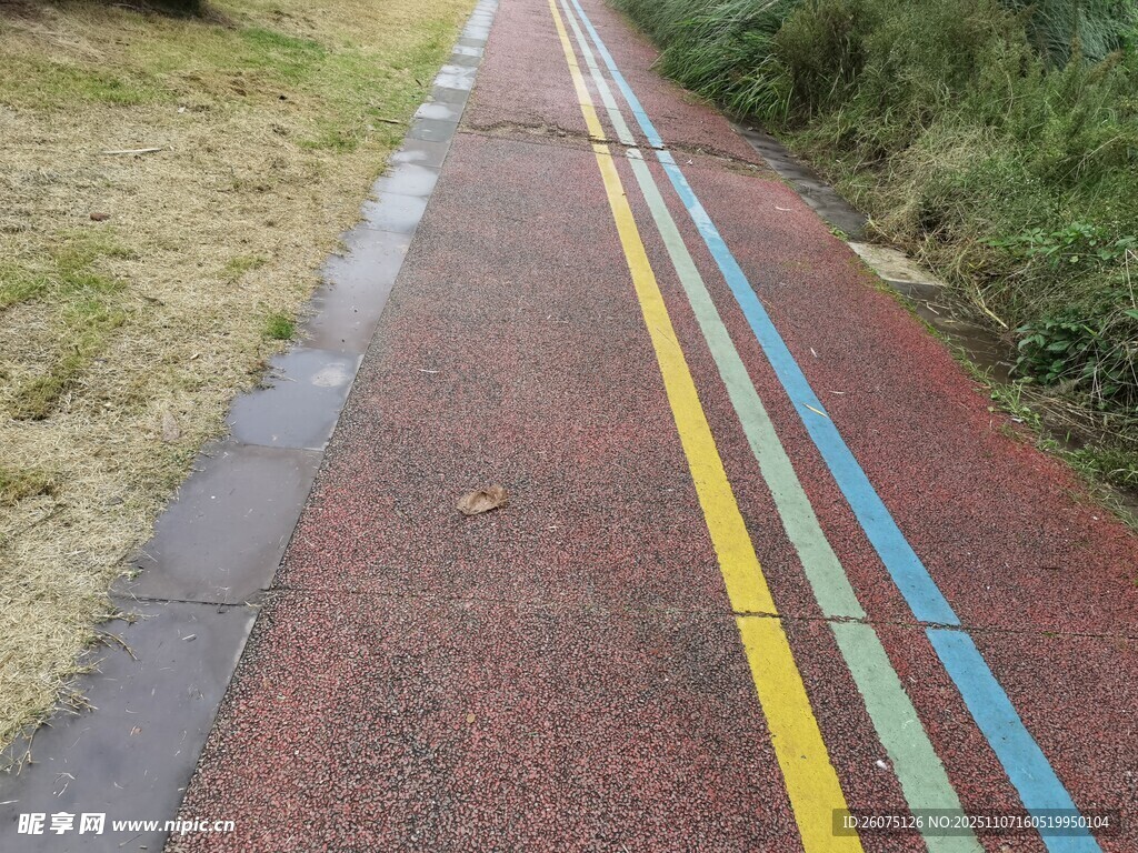 彩色条纹健身步道