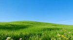 翠绿草原蓝天之下的美景
