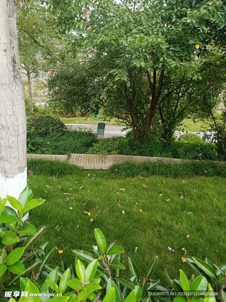 绿意盎然的户外园林景致