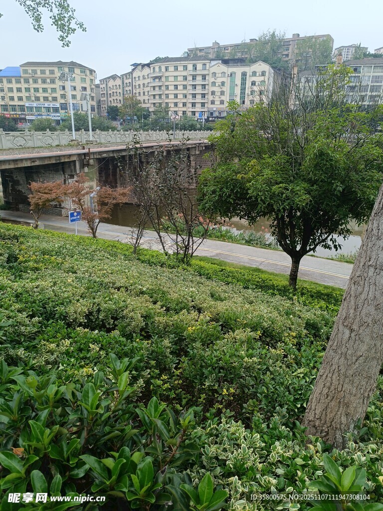 城市河畔绿植景观