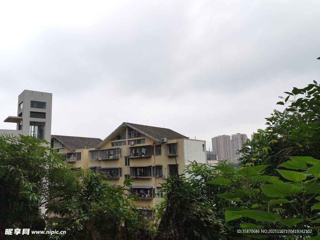 绿树环绕的居民楼