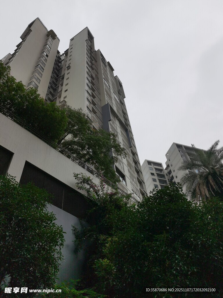 高楼旁绿意盎然的景致