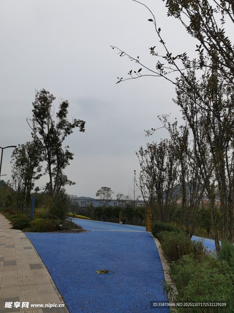 蓝色覆盖物的户外场景