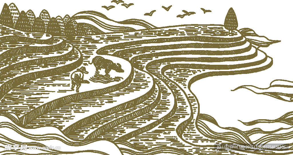 梯田 水稻 云南米线