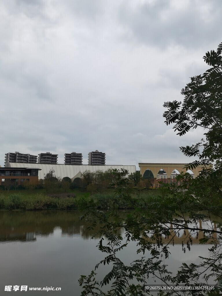 湖畔楼宇与繁茂树木景致