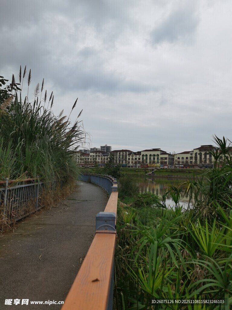 河边步道风景