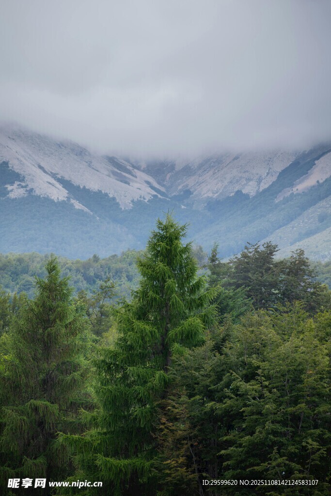 山林间的朦胧远山景色