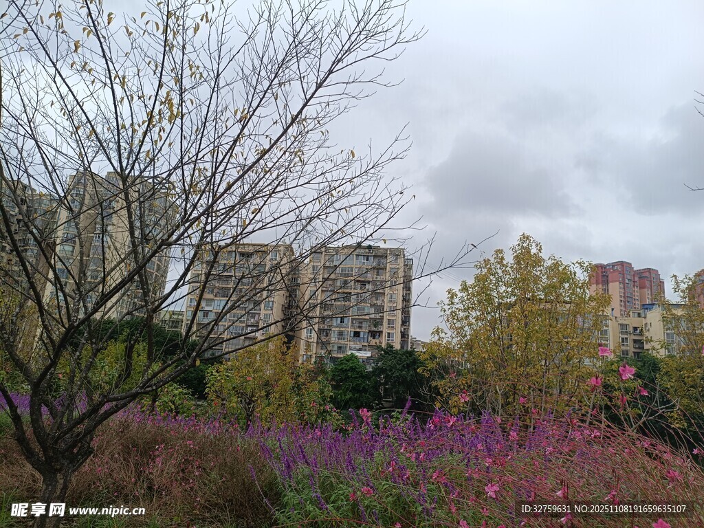 秋日城郊的繁花与建筑