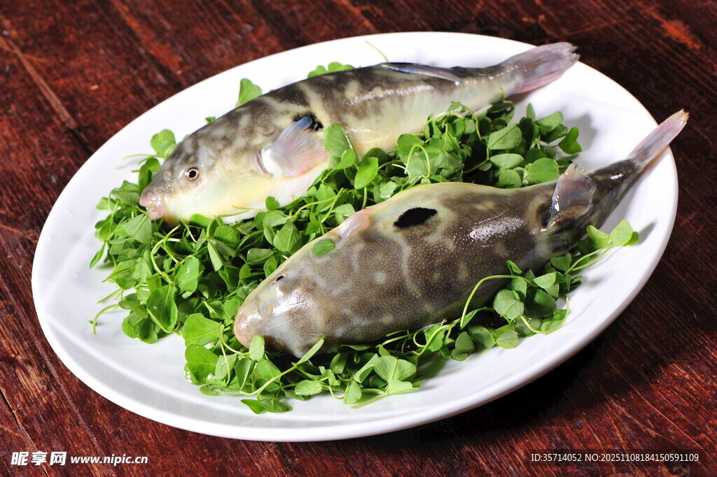 盘中河豚配翠绿蔬菜