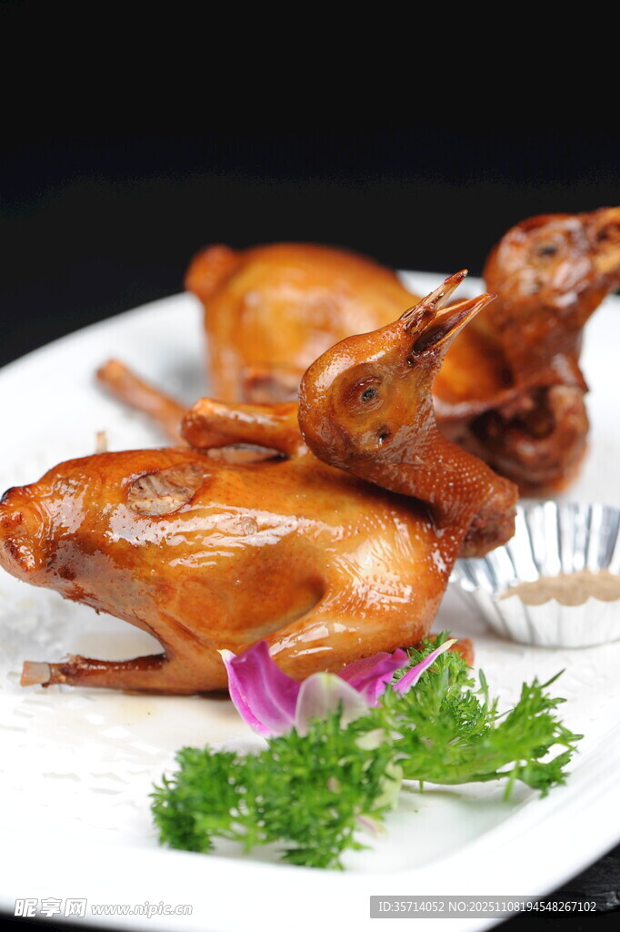 美味红烧乳鸽摆拍