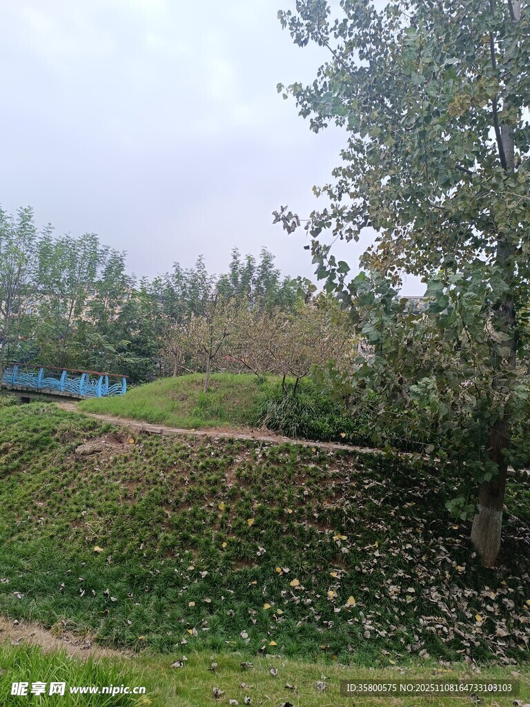 郊外绿意盎然的自然景致