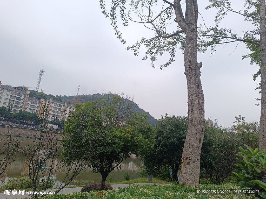 户外园林树木景观