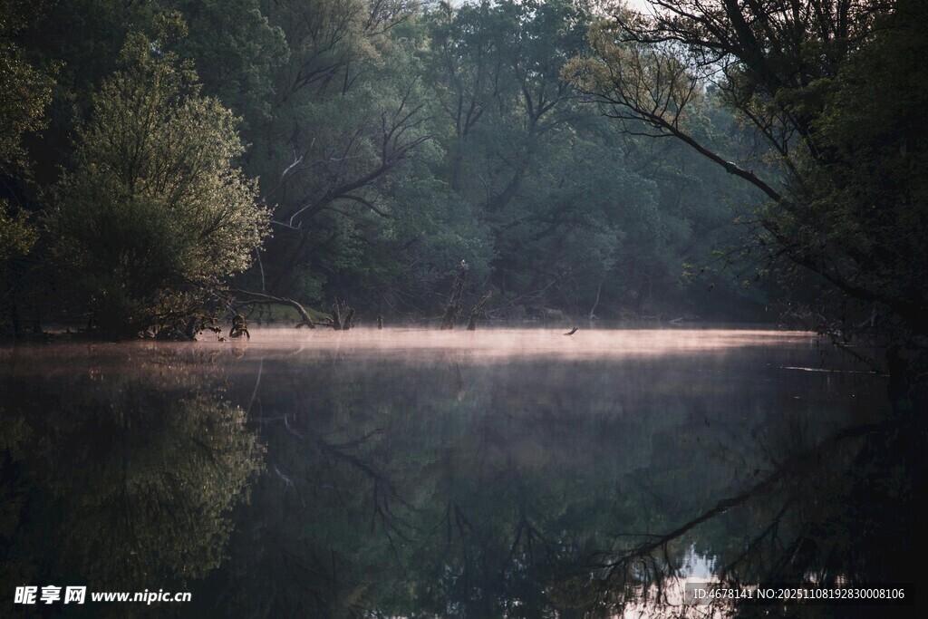 清晨静谧的河畔森林倒影