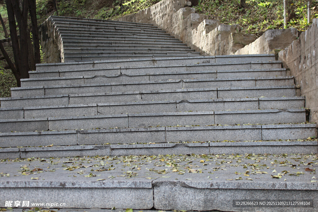 秋日石阶上的落叶景致