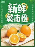新鲜橙子海报